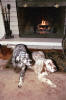 Holiday Card 2001
